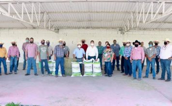 Participa Julio Long en entrega de semilla de avena a productores del campo