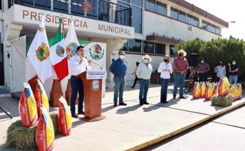 Entrega Julio Long 10 toneladas de semilla de sorgo a productores del campo