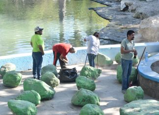 Como un gran equipo personal de dependencias municipales dieron mantenimiento al parque la cascada en Múzquiz